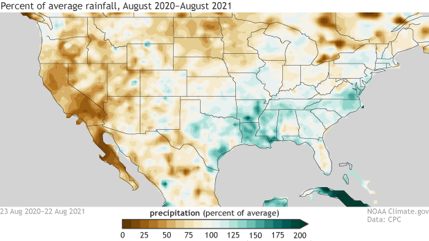 Precipitation accumulation over the past 12 months, shown as a percent of the average mid-August through mid-August total.