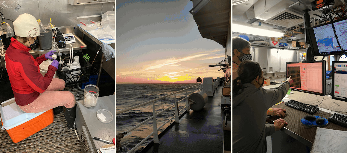 Dr. Nastassia Patin and other scientists collect samples aboard NOAA ship Reuben Lasker